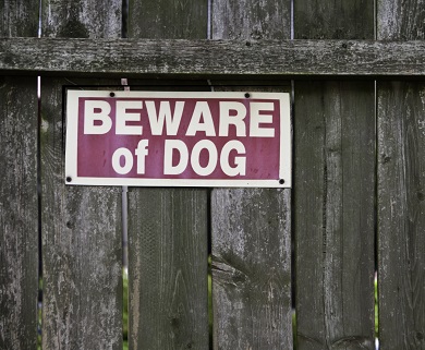 Beware Of Dog